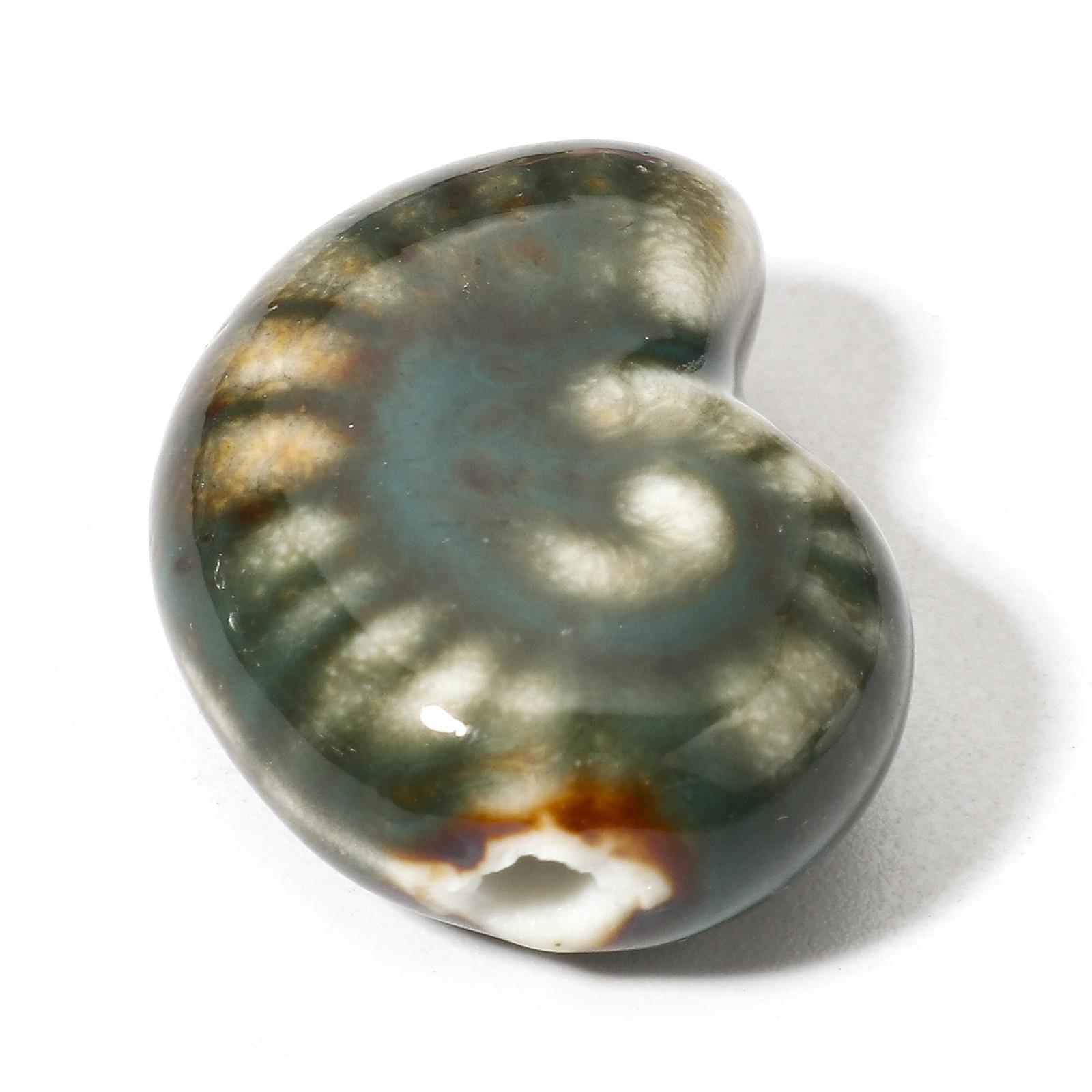 10 PCs 3D Ceramic Ocean Jewelry Beads For DIY Charm Jewelry Making Conch/ Sea Snail Bead About 21mm x 17mm, Hole: Approx 2mm темно-зеленого
10 PCs 3D Ceramic Ocean Jewelry Beads For DIY Charm Jewelry Making Conch/ Sea Snail Bead About 21mm x 17mm, Hole: Approx 2mm темно-зеленого