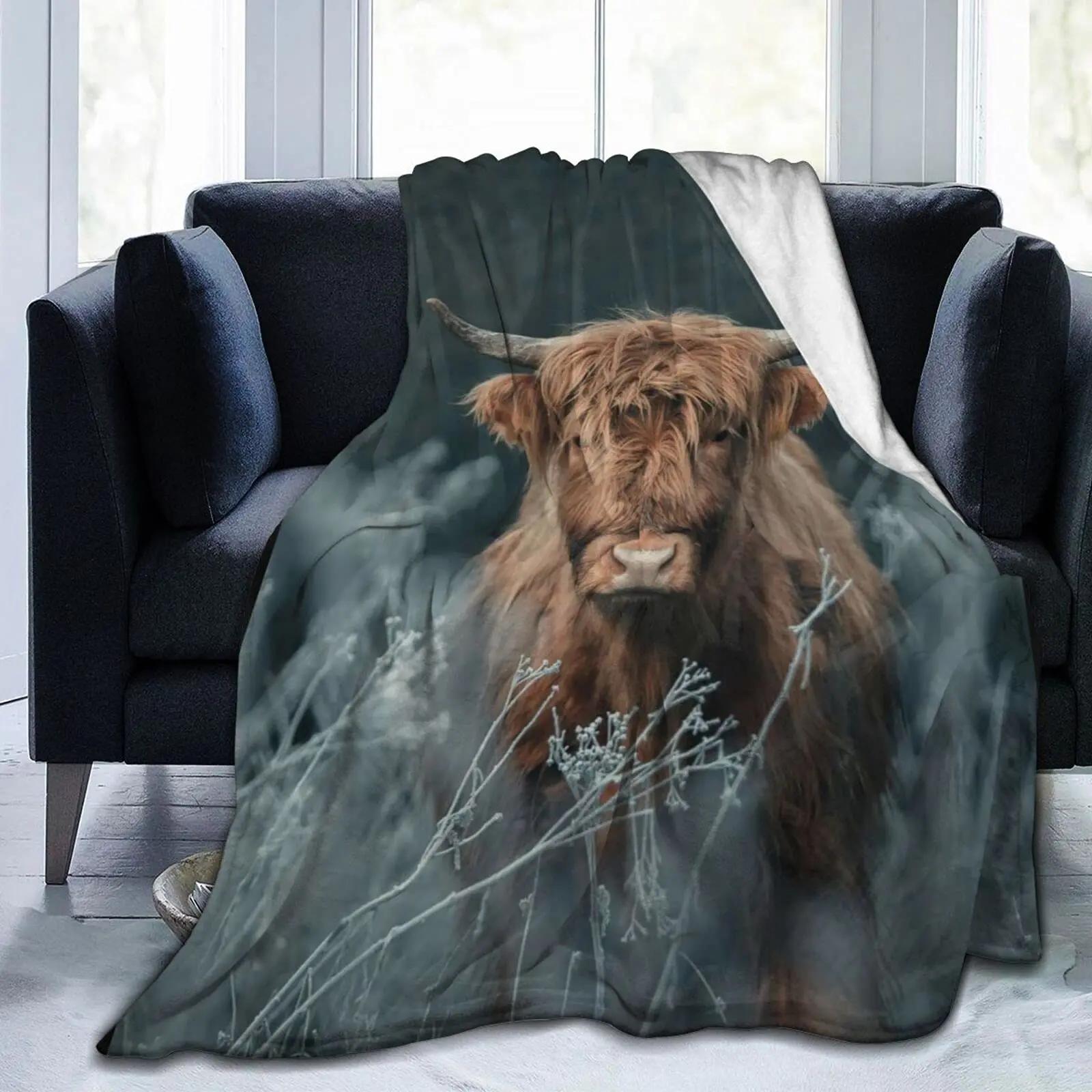 Highland Cow Blanket Animal Bedding Throw Soft Cozy Fleece Plush Size for Couch Bed Sofa Travelling Camping 150x200cm
Highland Cow Blanket Animal Bedding Throw Soft Cozy Fleece Plush Size for Couch Bed Sofa Travelling Camping 150x200cm