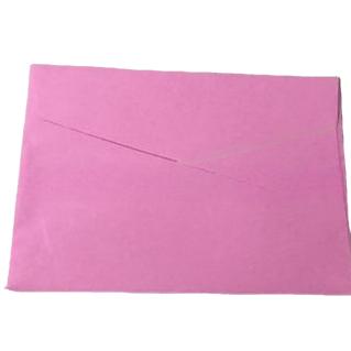 11.5x8cm Single-color Envelope Mini Color Unprinted Envelope Blank Single-color Envelope Card Storage
11.5x8cm Single-color Envelope Mini Color Unprinted Envelope Blank Single-color Envelope Card Storage