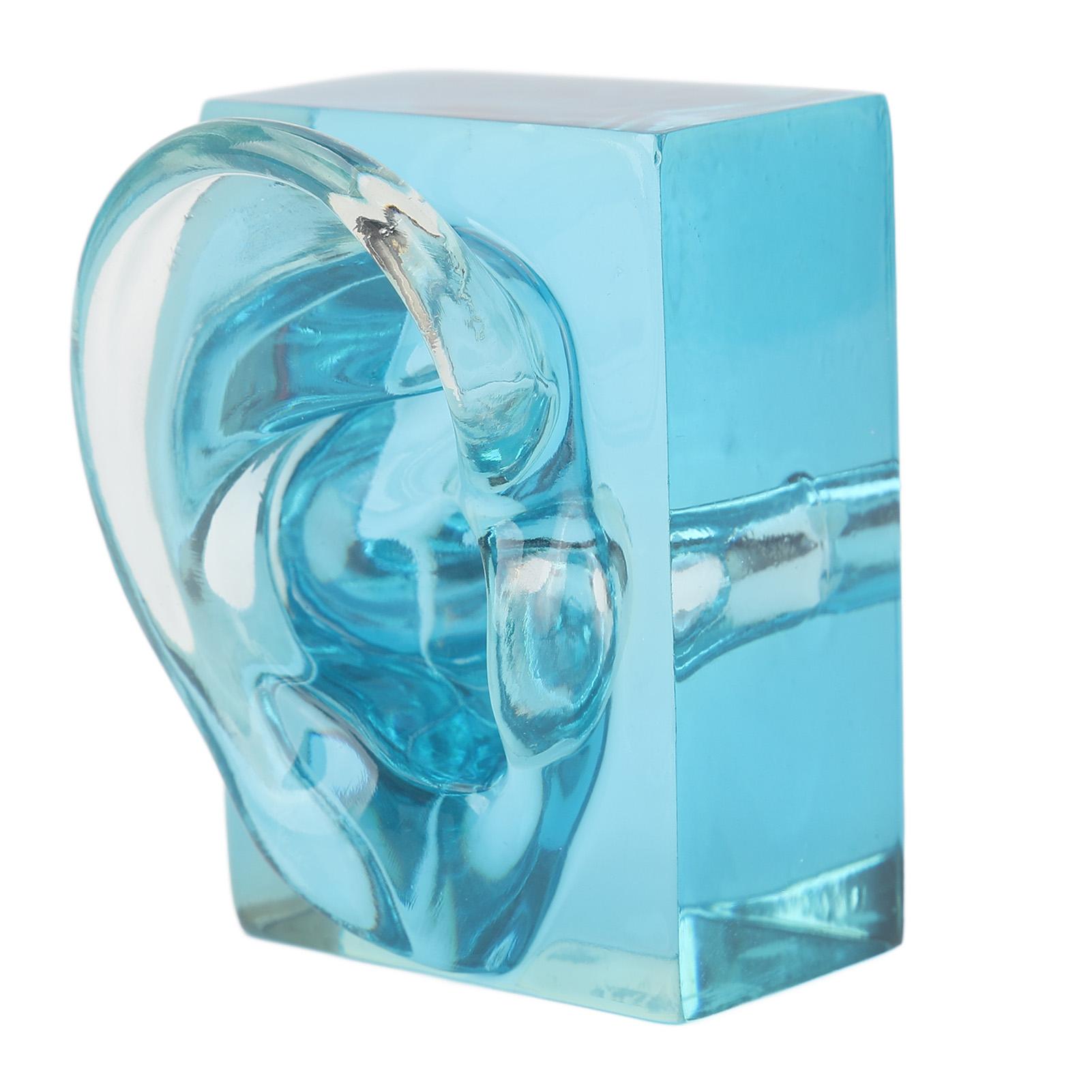 Right Ear Display Model Acrylic Blue Transparent Waterproof Fake Ear Model Displays for Sound Aids
Right Ear Display Model Acrylic Blue Transparent Waterproof Fake Ear Model Displays for Sound Aids