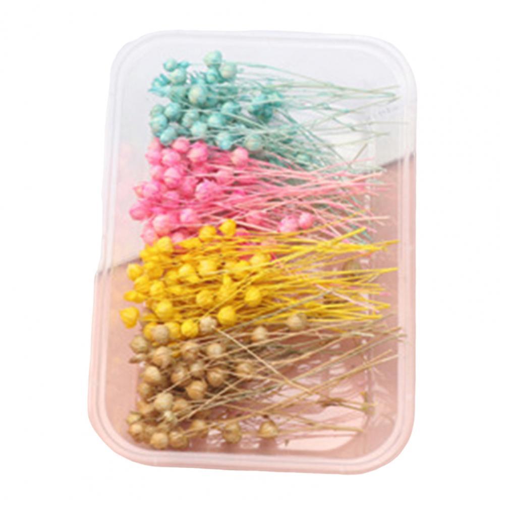 Natural Dried Flower Assortment Home Decoration Natural Dried Pressed Flowers For Handmade Crafts DIY Candles Epoxy Resin Flower
Natural Dried Flower Assortment Home Decoration Natural Dried Pressed Flowers For Handmade Crafts DIY Candles Epoxy Resin Flower