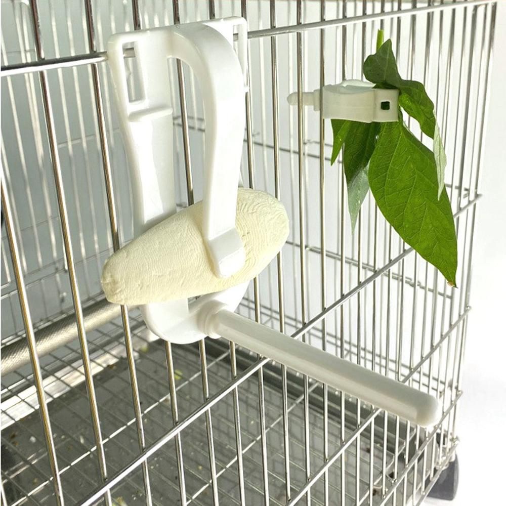 Accessories Fruit Small Animals Pet Parrot Feeder Bird Food Holders Cuttlebone Clip Feeding Clamp
Accessories Fruit Small Animals Pet Parrot Feeder Bird Food Holders Cuttlebone Clip Feeding Clamp
