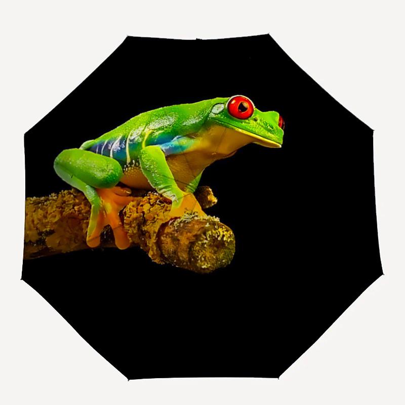 1pc Frog Treefrog Automatic Folding Umbrella Automatic Open/Close, 8-Rib Durable Frame, Compact Travel Umbrella Suitable033
1pc Frog Treefrog Automatic Folding Umbrella Automatic Open/Close, 8-Rib Durable Frame, Compact Travel Umbrella Suitable033