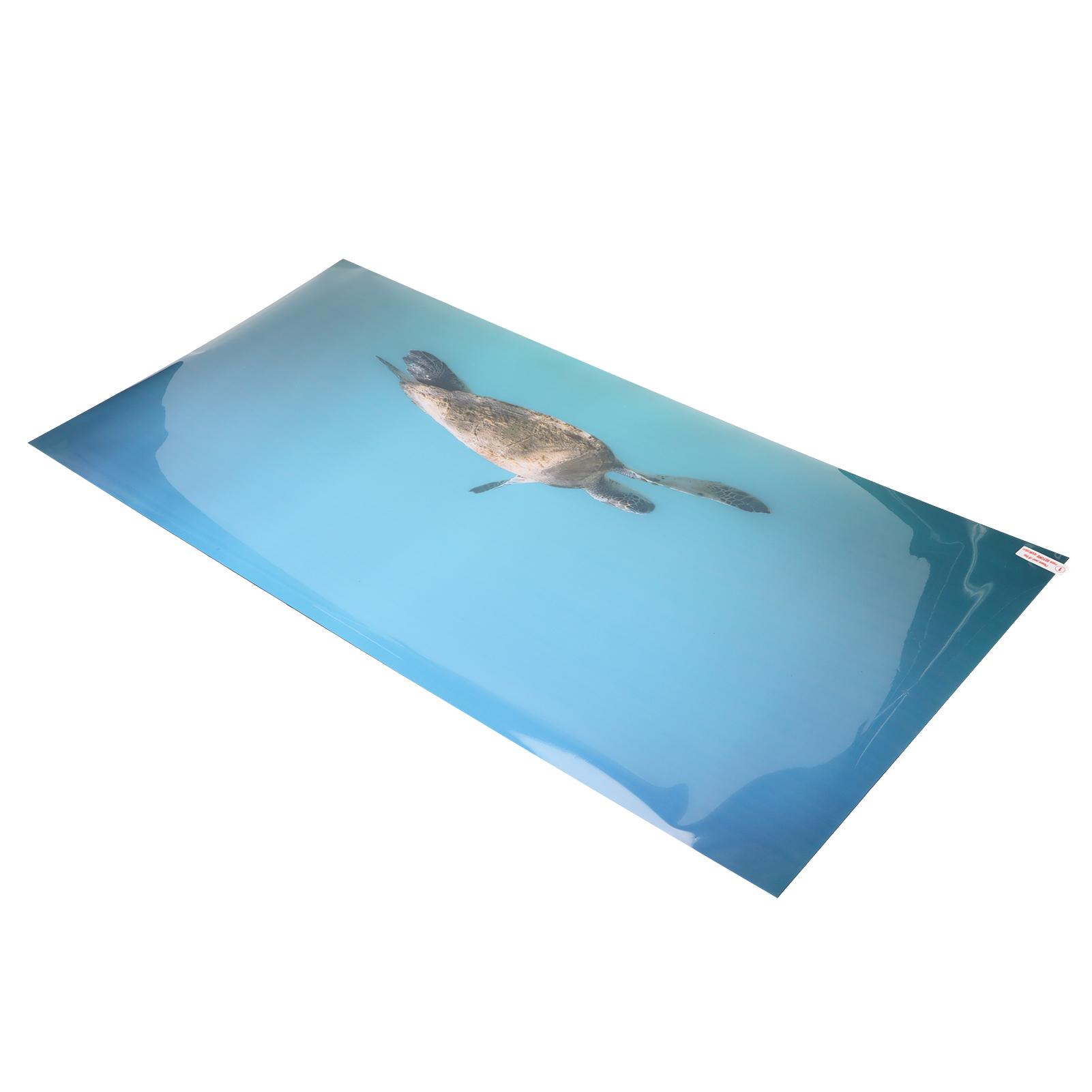 Aquarium Background Paper PVC Self Adhesive 3D Effect Fish Tank Decoration Poster61x41cm
Aquarium Background Paper PVC Self Adhesive 3D Effect Fish Tank Decoration Poster61x41cm