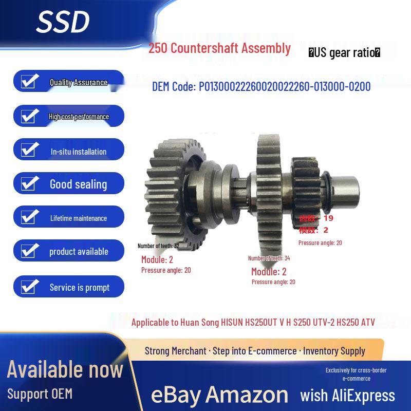 Huan Song HS250UTV Countershaft Assembly Gearbox P013000222600200 HS250
Huan Song HS250UTV Countershaft Assembly Gearbox P013000222600200 HS250