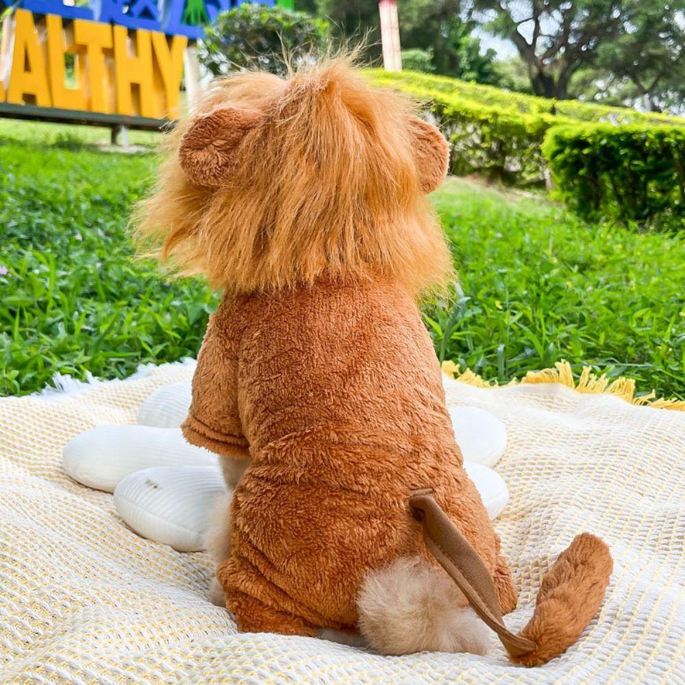 Cute Dog Cosplay Clothes Coral Velvet Dog Winter Warm Clothes Golden Lion Dog Clothes Winter S
Cute Dog Cosplay Clothes Coral Velvet Dog Winter Warm Clothes Golden Lion Dog Clothes Winter S