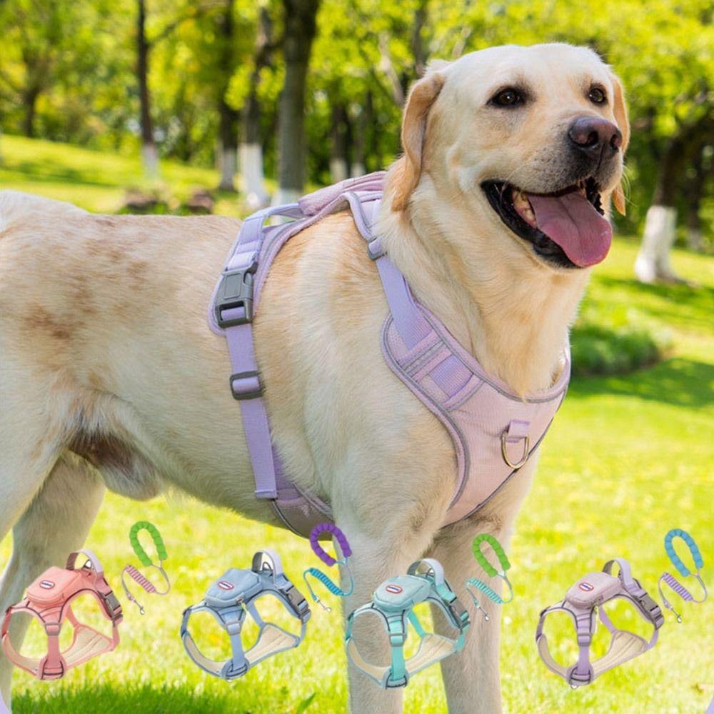 Adjustable Dog Harness Vest Breathable Pet Chest Harness Dog Chest Strap Outdoor S фіолетовий
Adjustable Dog Harness Vest Breathable Pet Chest Harness Dog Chest Strap Outdoor S фіолетовий