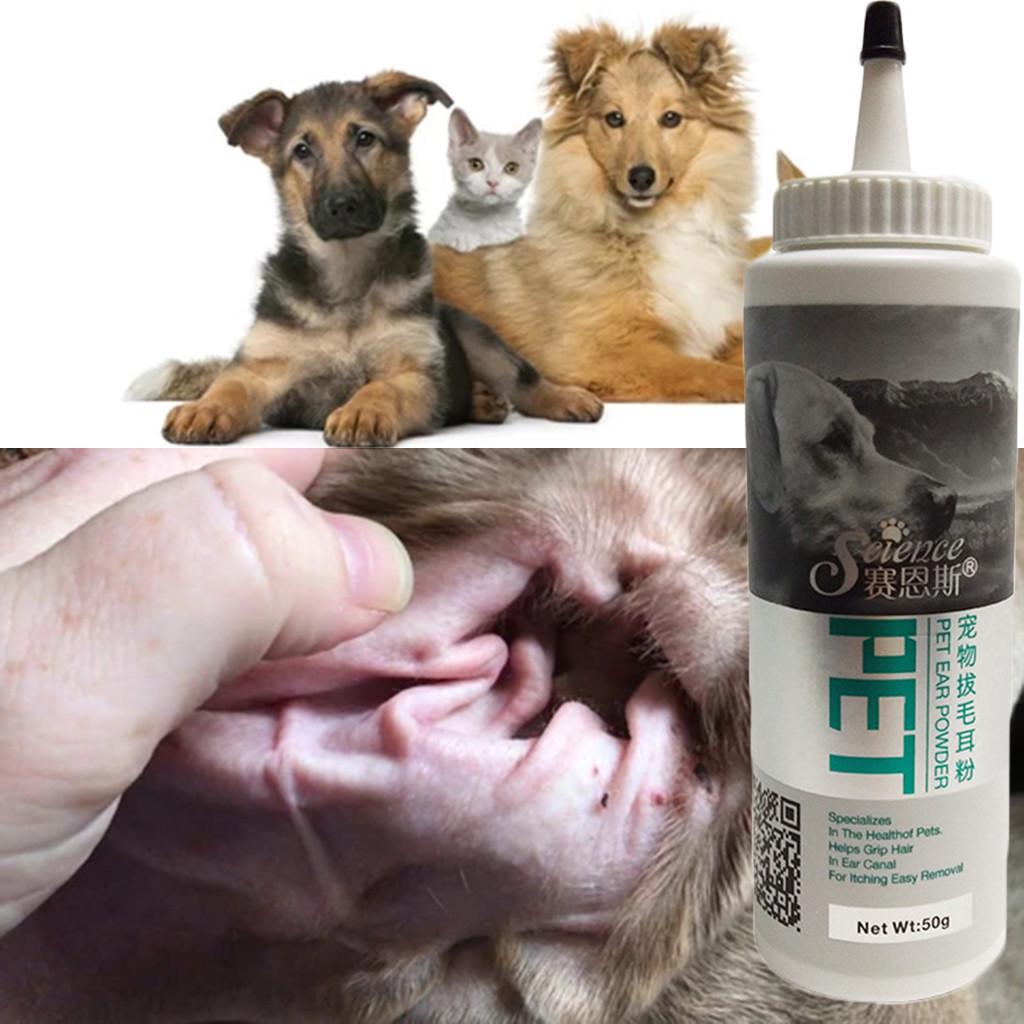 Pet Ear Powder for Dogs and Cats Pet Ear Health Care Easy to Remove Ear Hair
Pet Ear Powder for Dogs and Cats Pet Ear Health Care Easy to Remove Ear Hair