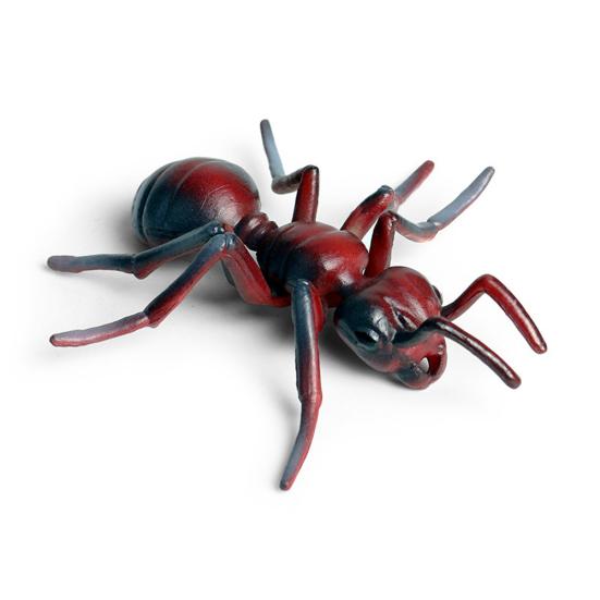 Realistic Ant Growth Cycle Figurine Set Kids Simulated Animal Educational Toys Red Ant
Realistic Ant Growth Cycle Figurine Set Kids Simulated Animal Educational Toys Red Ant