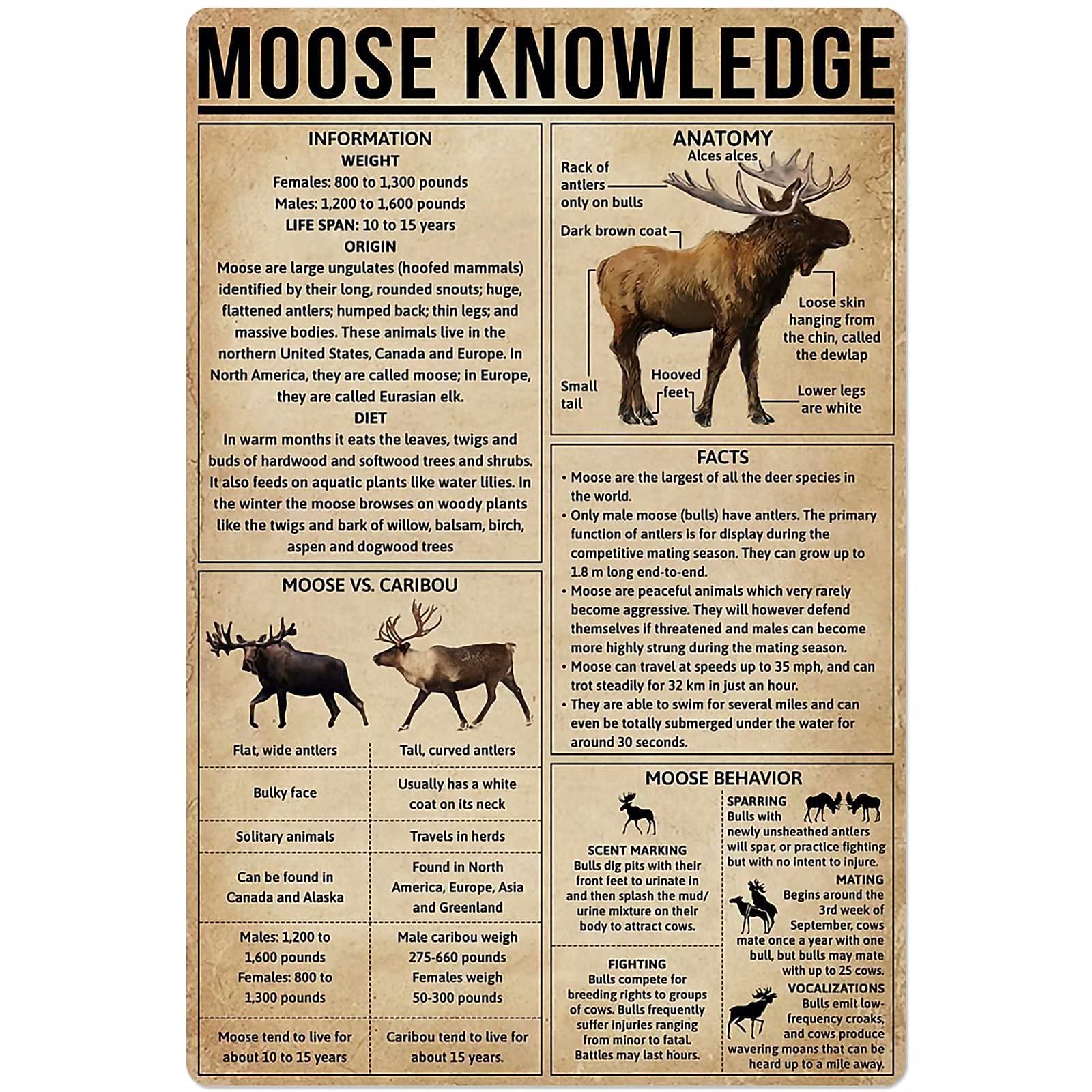 Veidsuh Moose Knowledge Retro Poster Plaque for Club Cafe Bar Home Kitchen Wall Decoration 20x30cm(7.8x11.8inch)
Veidsuh Moose Knowledge Retro Poster Plaque for Club Cafe Bar Home Kitchen Wall Decoration 20x30cm(7.8x11.8inch)