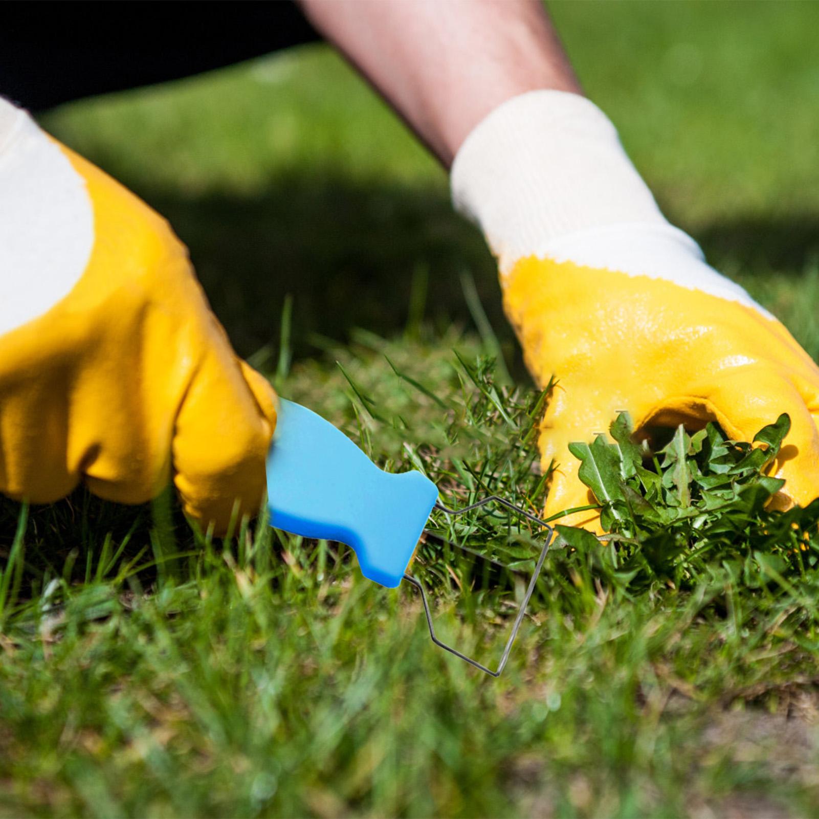 Hand Weeder Tool Weeder Fist Garden Metal Hand Weeder Hand Weeder Weed Remover Device Weeder Remover Tool Garden Accessories синий
Hand Weeder Tool Weeder Fist Garden Metal Hand Weeder Hand Weeder Weed Remover Device Weeder Remover Tool Garden Accessories синий