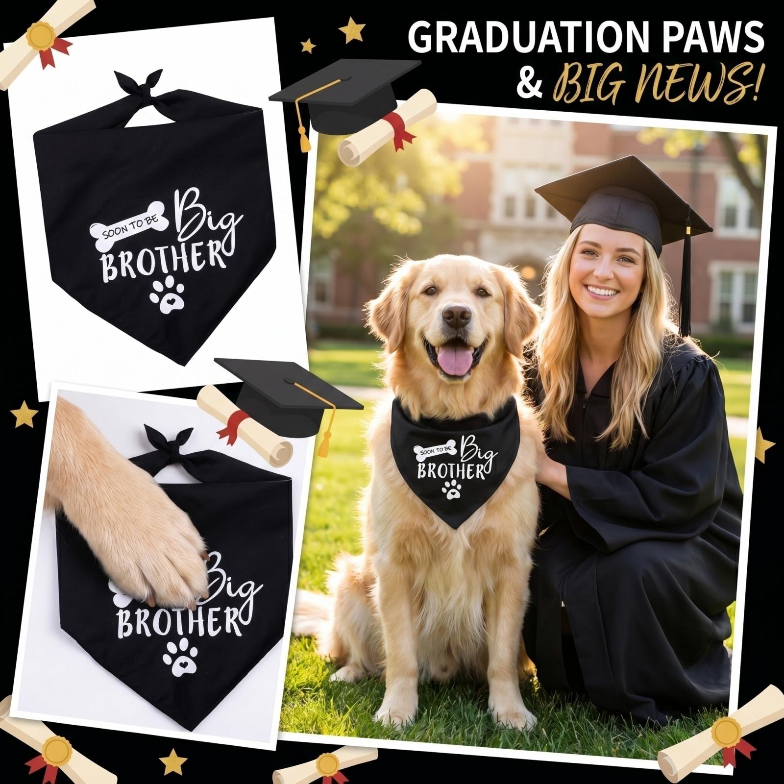 Graduation Pet Decoration Fashion Scarf One Size
Graduation Pet Decoration Fashion Scarf One Size