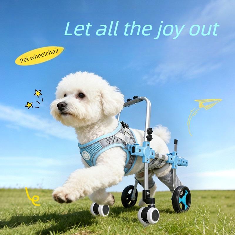 4 Wheels Dog Wheelchair for Pets Training Hindlimb Wheelchairs Upgraded Retractable Cat Hindleg Assist Car Paralyzed Driving Aid XS
4 Wheels Dog Wheelchair for Pets Training Hindlimb Wheelchairs Upgraded Retractable Cat Hindleg Assist Car Paralyzed Driving Aid XS