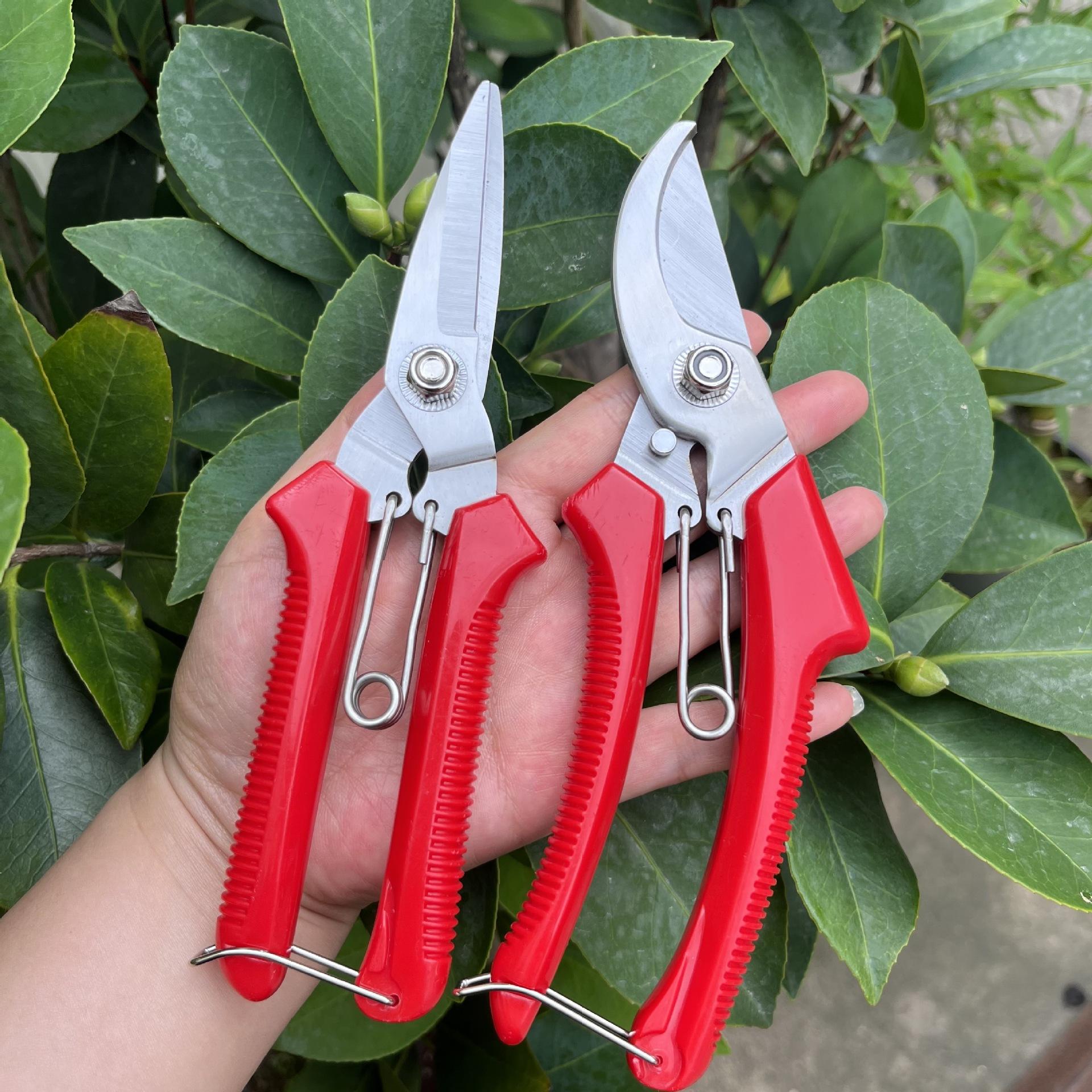 Stainless Steel Heavy-Duty Pruning Shears Fruit Tree Branch Harvest & Floral Trimmers for Garden Gardening Tools Elbow
Stainless Steel Heavy-Duty Pruning Shears Fruit Tree Branch Harvest & Floral Trimmers for Garden Gardening Tools Elbow