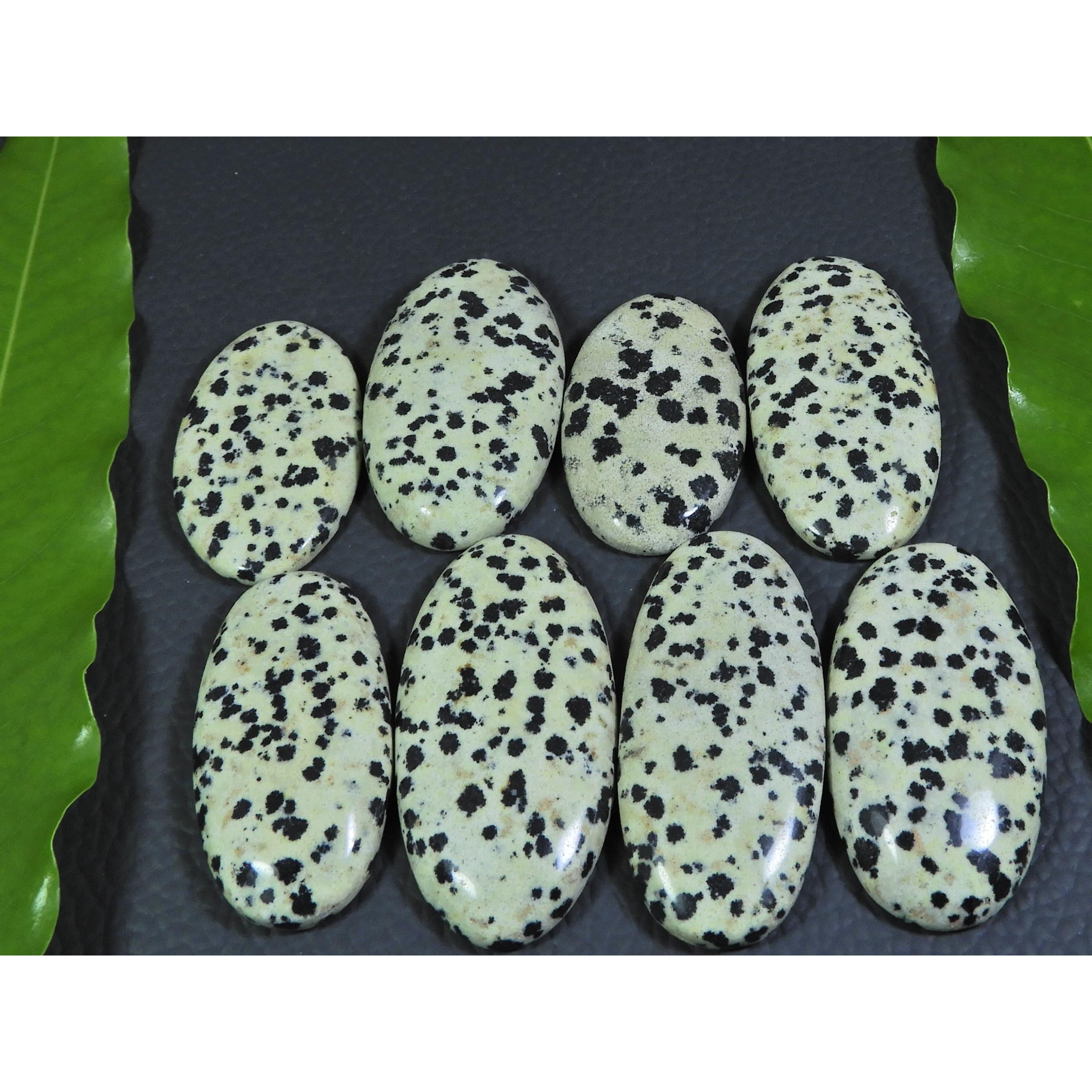 350Cts. Natural Dalmation Jasper Oval Cabochon Loose Gemstone 08 Pcs Lot A-382
350Cts. Natural Dalmation Jasper Oval Cabochon Loose Gemstone 08 Pcs Lot A-382