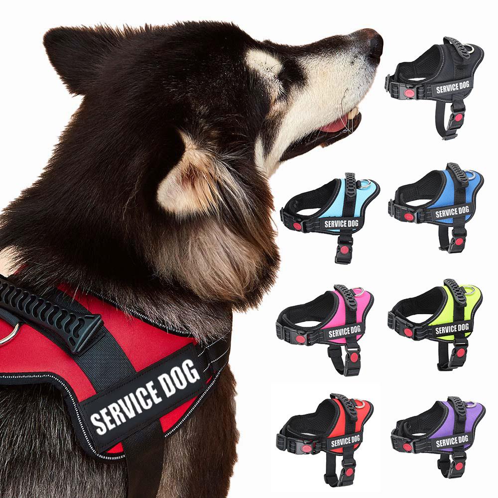 Accept Customise Patches Pet Dog Harness No Pull Reflective Saddle Adjustable Dog Walking For Small Medium And Large Dogs Vest XXS(Bust37-47cm)
Accept Customise Patches Pet Dog Harness No Pull Reflective Saddle Adjustable Dog Walking For Small Medium And Large Dogs Vest XXS(Bust37-47cm)