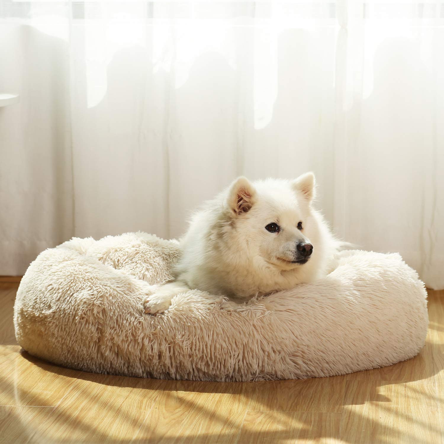 Pet Pet Pet Pet Round Donut Pet Sleeps Cold Cold For Small Pet 4 Sizes Diameter 80cm Peto-Raifu Bed, Cushion, Mat, Sofa, Shape, Bed, Soundly, Fluffy, бежевый
Pet Pet Pet Pet Round Donut Pet Sleeps Cold Cold For Small Pet 4 Sizes Diameter 80cm Peto-Raifu Bed, Cushion, Mat, Sofa, Shape, Bed, Soundly, Fluffy, бежевый