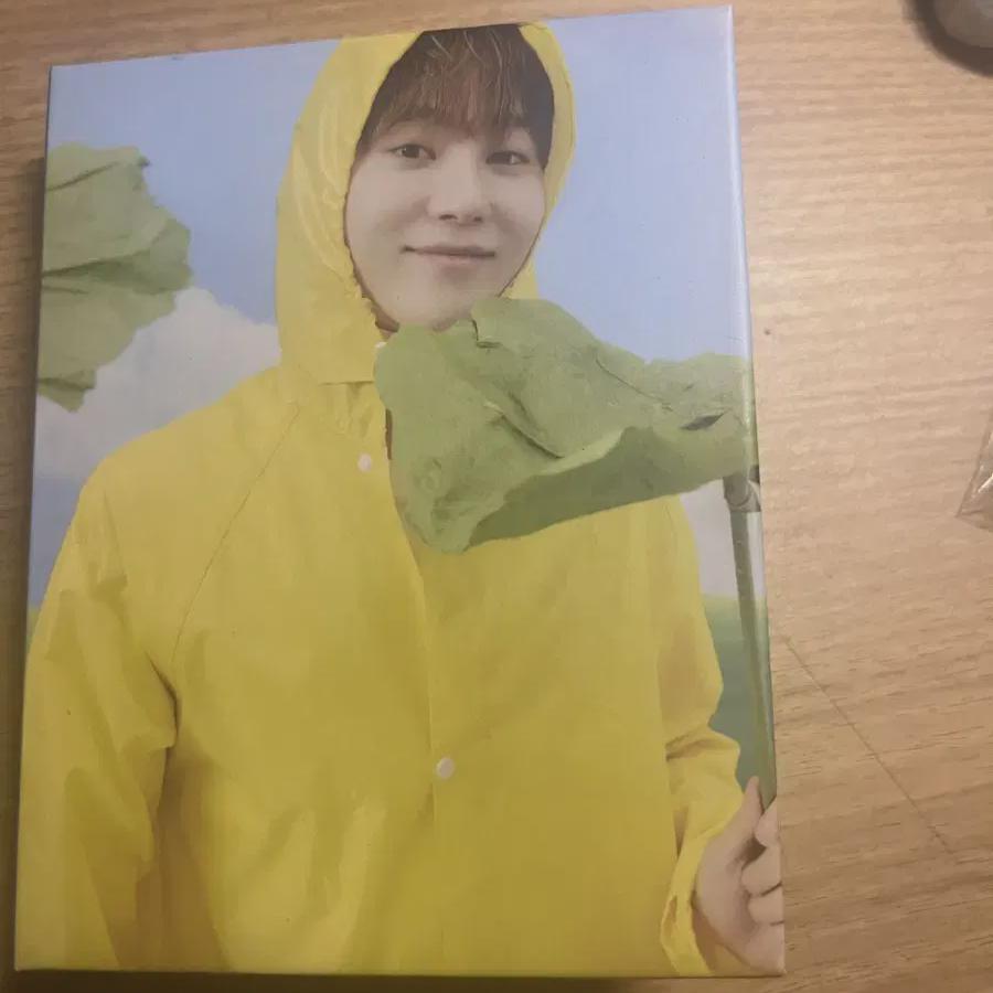 Seventeen Seungkwan Sells Pocabooks 
Seventeen Seungkwan Sells Pocabooks