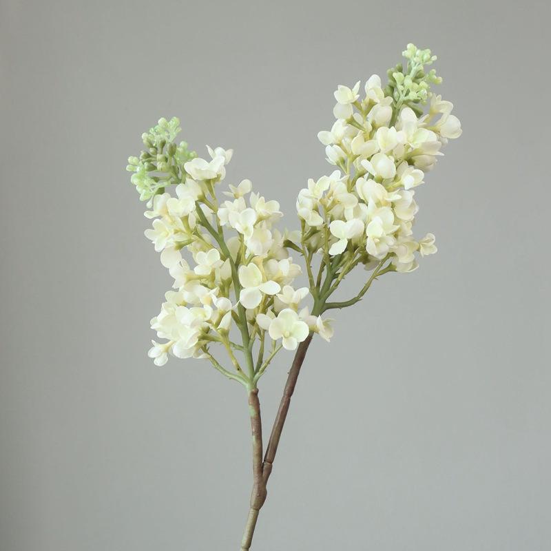 Gradual change of color wedding decoration simulation flower wedding scene 3D feel lilac scene arrangement flower hydrangea flower
Gradual change of color wedding decoration simulation flower wedding scene 3D feel lilac scene arrangement flower hydrangea flower