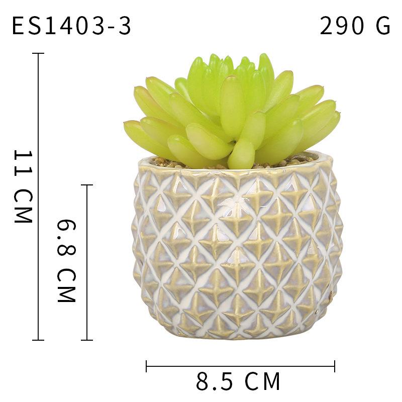 Имитация суккулентов Керамические растения в горшках Комбинация в скандинавском стиле Офисный настольный орнамент Подарок Искусственный суккулент
Имитация суккулентов Керамические растения в горшках Комбинация в скандинавском стиле Офисный настольный орнамент Подарок Искусственный суккулент