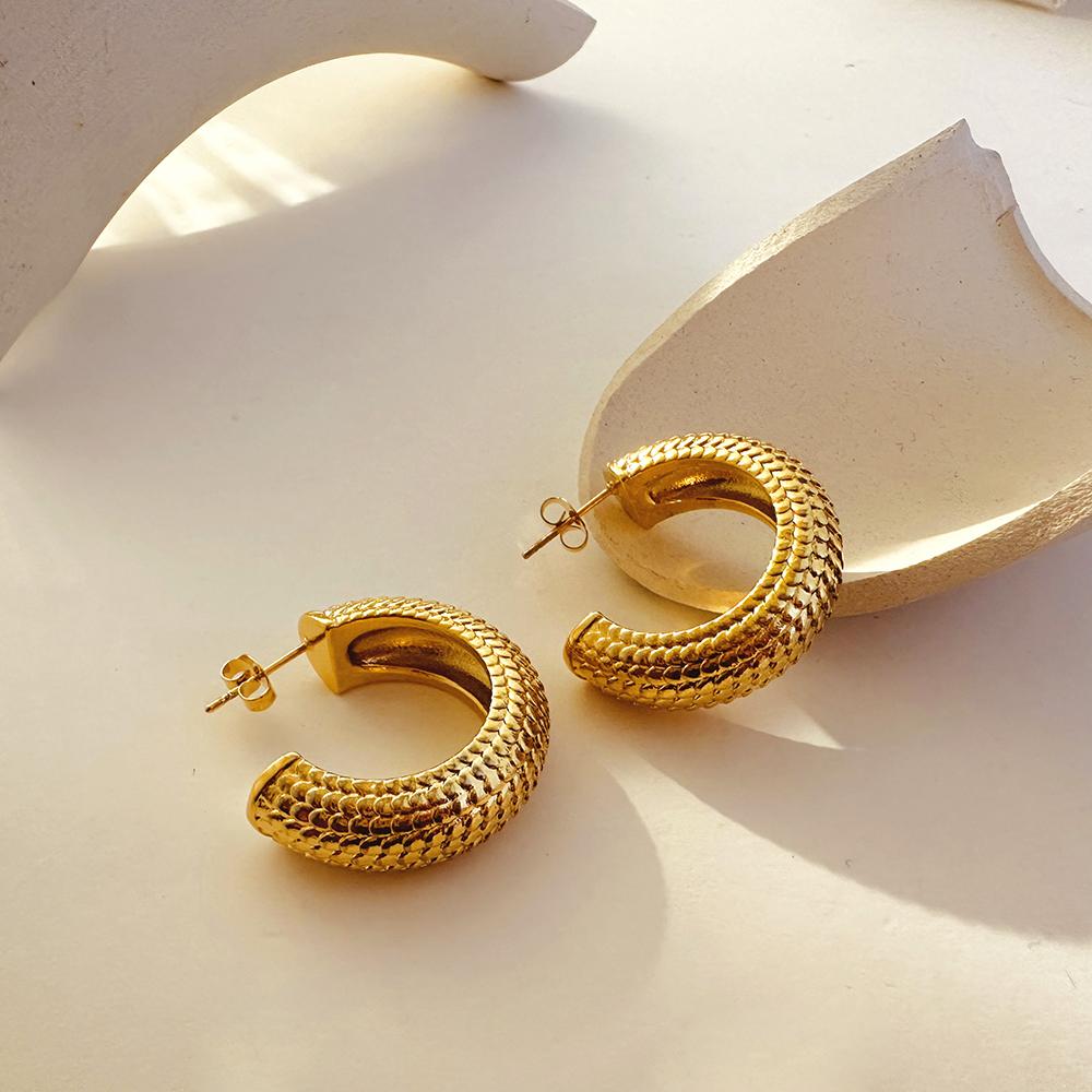 Punk Large Thick C Shape Hoop Earrings for Women Gold Plated Stainless Steel Fish Scale Ear Hoops Lightweight Zircon New 2024
Punk Large Thick C Shape Hoop Earrings for Women Gold Plated Stainless Steel Fish Scale Ear Hoops Lightweight Zircon New 2024