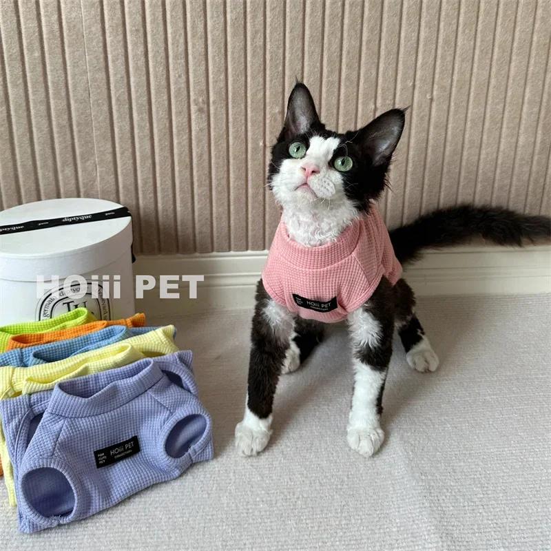 Одежда для котят Летний разноцветный вафельный жилет Одежда для девон-рекса Одежда для бесшерстных кошек Дышащая одежда Хлопок Товары для домашних животных XS(0.5-1KG)
Одежда для котят Летний разноцветный вафельный жилет Одежда для девон-рекса Одежда для бесшерстных кошек Дышащая одежда Хлопок Товары для домашних животных XS(0.5-1KG)