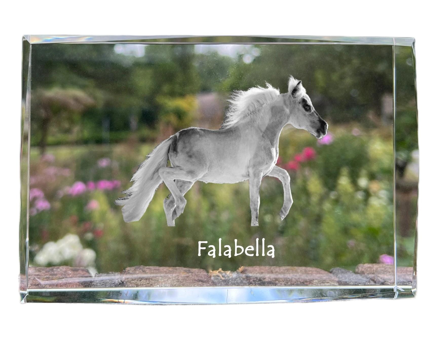 Falabella - crystal with a picture of a horse, photo in glass, modern exhibition of Art-Dog brand photo
Falabella - crystal with a picture of a horse, photo in glass, modern exhibition of Art-Dog brand photo