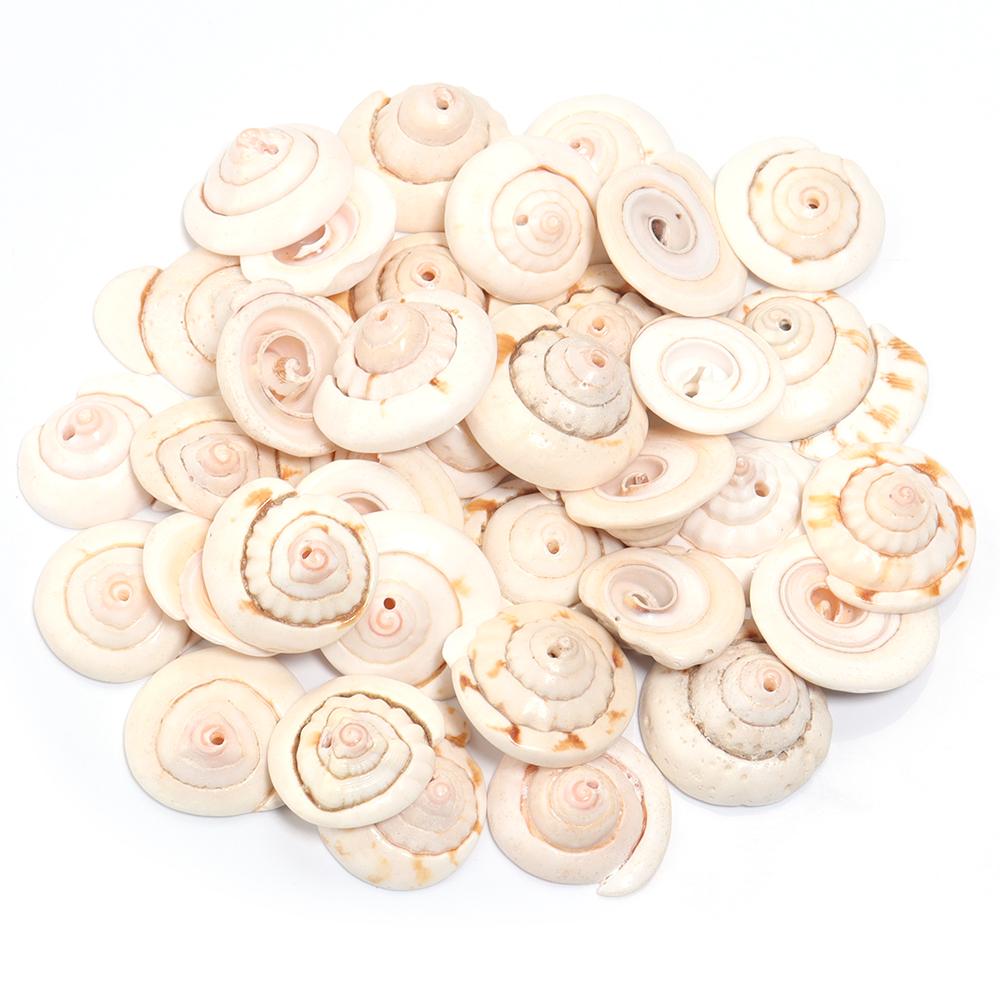 30/40/50g Natural Sea Flower Snail Shell Beads Loose Spacer Beads DIY Jewelry Bracelet Pendant Phoen Key Bag Chain Accessories
30/40/50g Natural Sea Flower Snail Shell Beads Loose Spacer Beads DIY Jewelry Bracelet Pendant Phoen Key Bag Chain Accessories