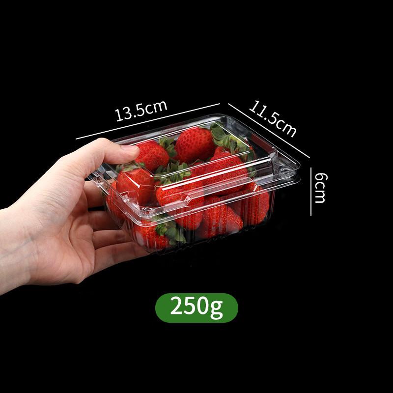 Disposable Rectangular Clear Plastic Food Containers
Disposable Rectangular Clear Plastic Food Containers