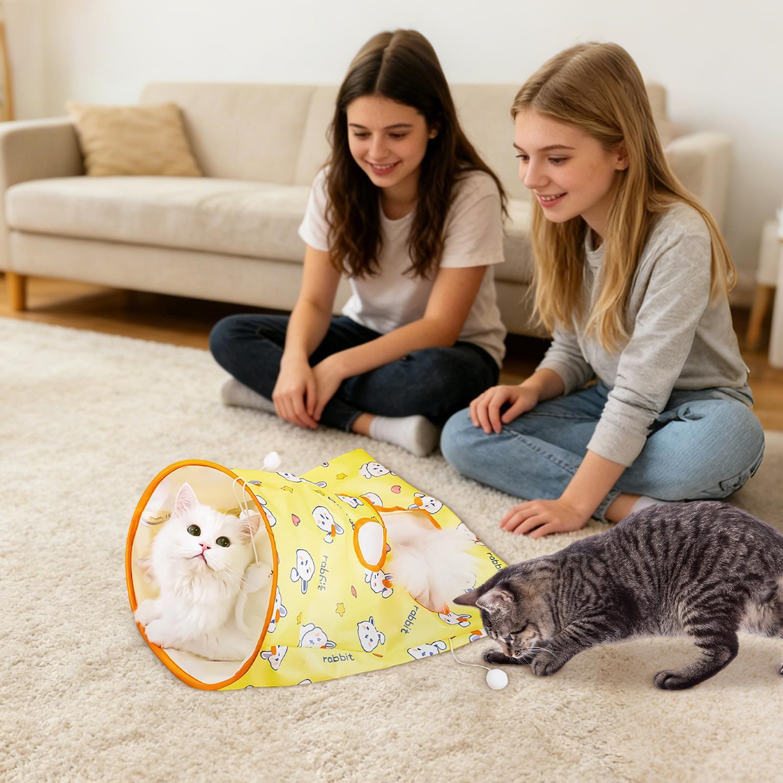 Интерактивная игрушка для кошек, забавная, устойчивая к царапинам, игрушка для тренировки питомцев, игра для обогащения кошек, для маленьких, средних, больших котят, дворов, веранд China Mainland
Интерактивная игрушка для кошек, забавная, устойчивая к царапинам, игрушка для тренировки питомцев, игра для обогащения кошек, для маленьких, средних, больших котят, дворов, веранд China Mainland