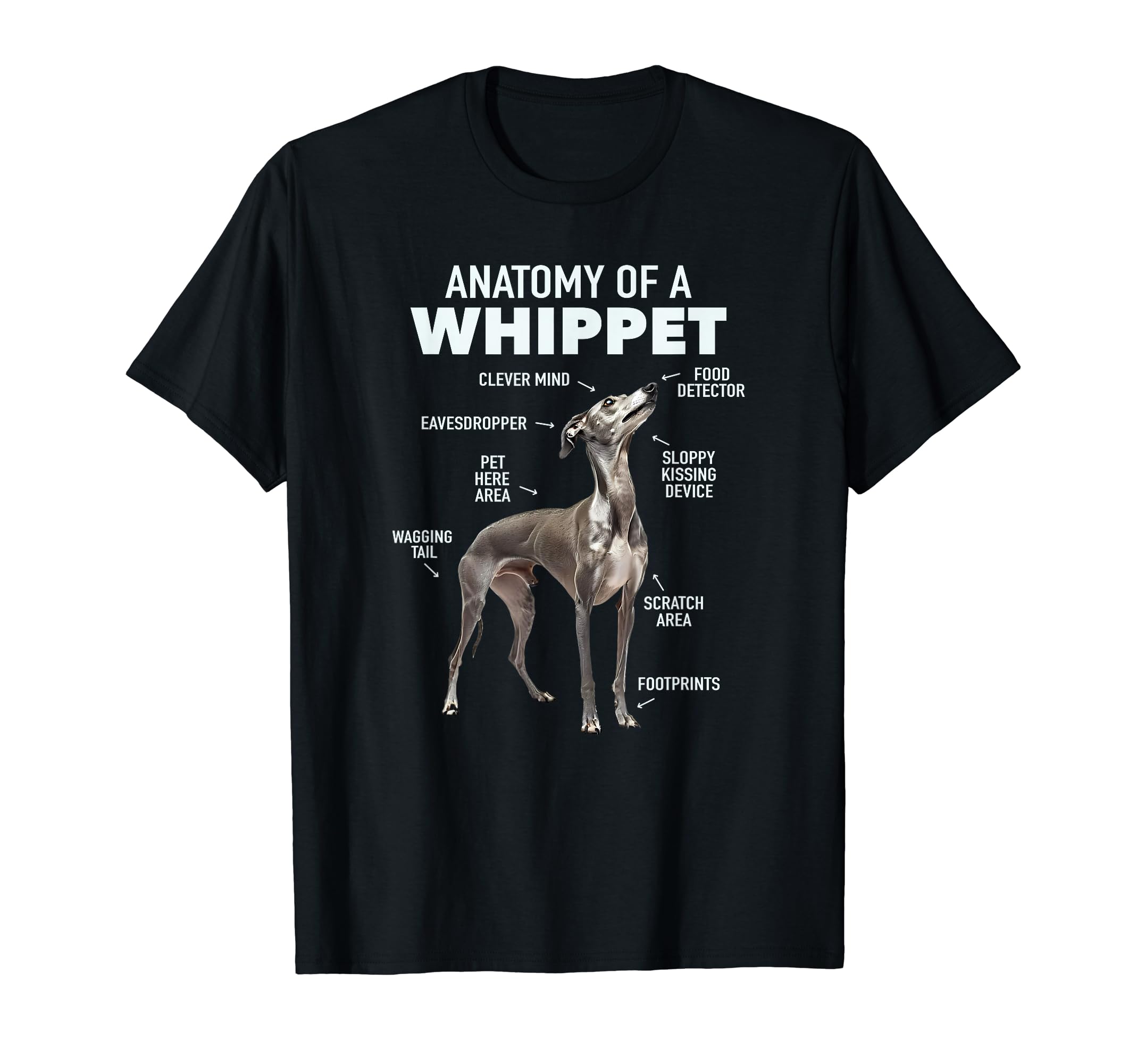 Anatomy of a Whippet T-shirt
Anatomy of a Whippet T-shirt