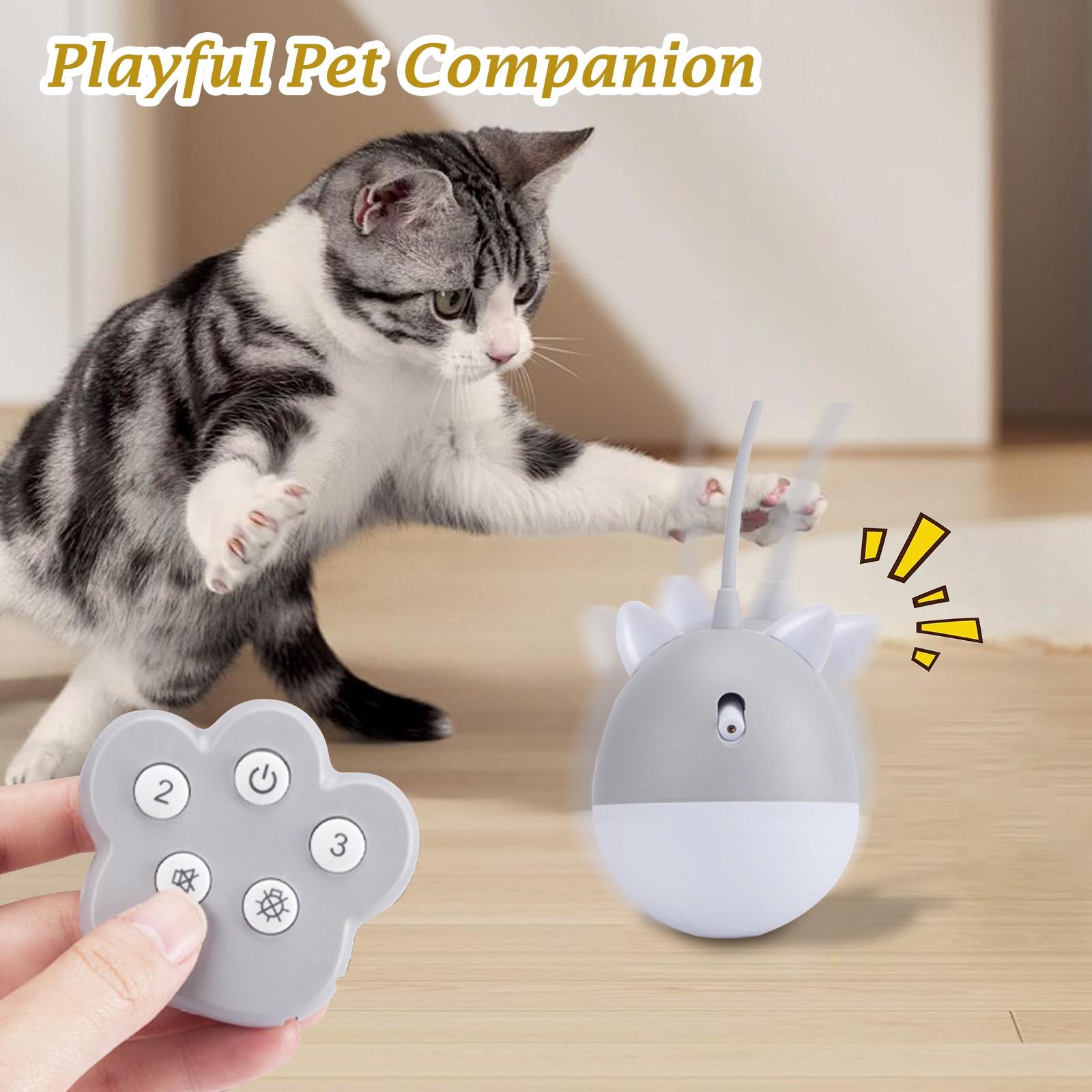 Устройство для дразнения кошек, перезаряжаемая, с высоким звуком, вращающаяся электрическая игрушка для домашних животных без правил One Size
Устройство для дразнения кошек, перезаряжаемая, с высоким звуком, вращающаяся электрическая игрушка для домашних животных без правил One Size