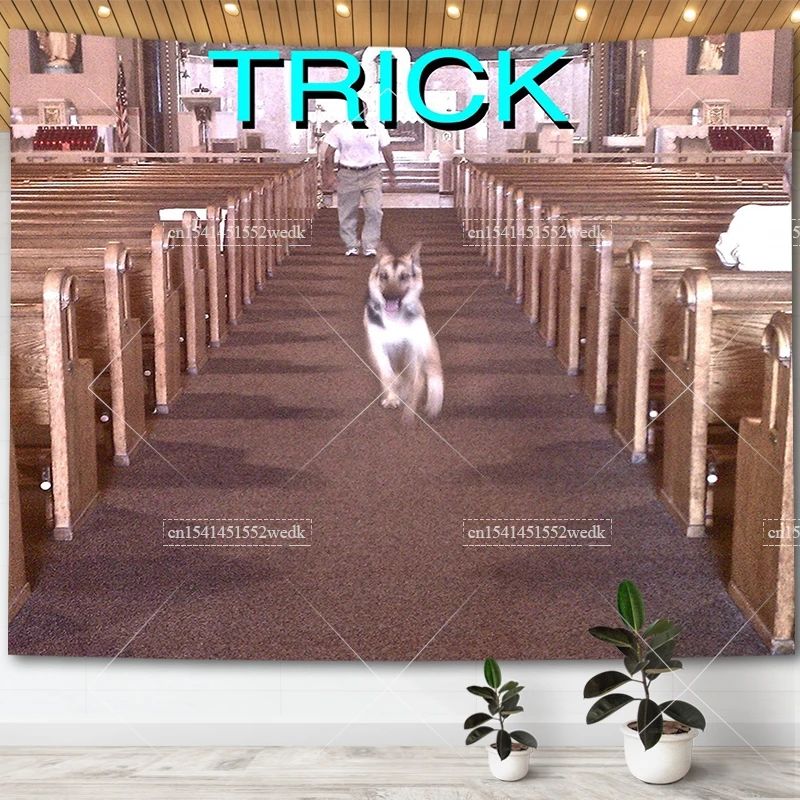 Tapestry album cover for Alex G Trick 75x100 чёрный
Tapestry album cover for Alex G Trick 75x100 чёрный