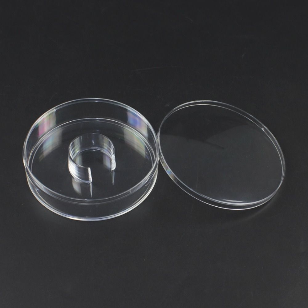 Держатель для украшений Коробка для демонстрации браслетов Витрина для браслетов Стойка-органайзер для браслетов Браслет 11.5cm
Держатель для украшений Коробка для демонстрации браслетов Витрина для браслетов Стойка-органайзер для браслетов Браслет 11.5cm