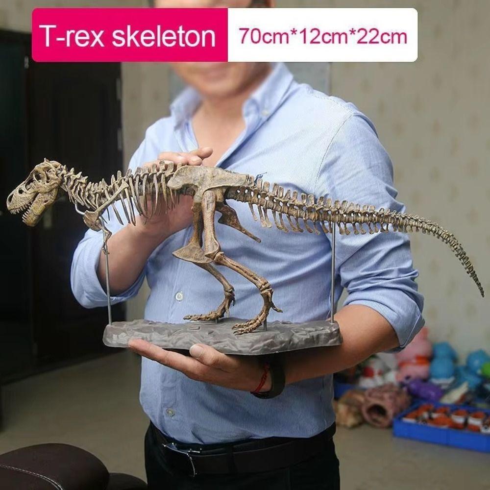Animal Figurines DIY Dinosaur Skeleton Toys Jurassic Period Dinosaur Model DIY Boys Girls with Pigment
Animal Figurines DIY Dinosaur Skeleton Toys Jurassic Period Dinosaur Model DIY Boys Girls with Pigment