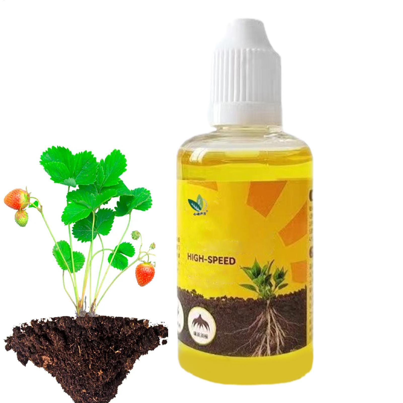 50ml Plant Rooting Stimulator Liquid Plant Root Booster Liquid Rapid Rooting Agent Liquid Fertilizer Strong Rooting Stimulator 50ml
50ml Plant Rooting Stimulator Liquid Plant Root Booster Liquid Rapid Rooting Agent Liquid Fertilizer Strong Rooting Stimulator 50ml