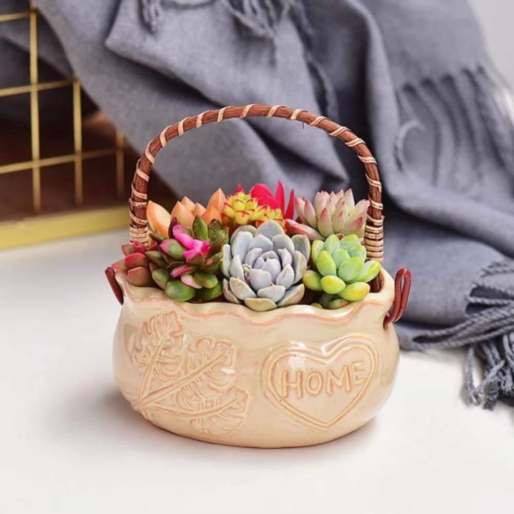Corrosion-resistant Ceramic Succulent Planter With Handle Nordic Flowerpot Ornament Office
Corrosion-resistant Ceramic Succulent Planter With Handle Nordic Flowerpot Ornament Office