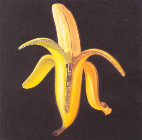 CD DANDY WARHOLS - Welcome To The Monkey House 724358202205 Capitol Records 2003 Europe Rock Used
CD DANDY WARHOLS - Welcome To The Monkey House 724358202205 Capitol Records 2003 Europe Rock Used