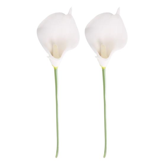 5 шт. в упаковке, Калла Лили, свадебный букет из латекса, настоящий сенсорный искусственный цветок, декор 2 белый
5 шт. в упаковке, Калла Лили, свадебный букет из латекса, настоящий сенсорный искусственный цветок, декор 2 белый