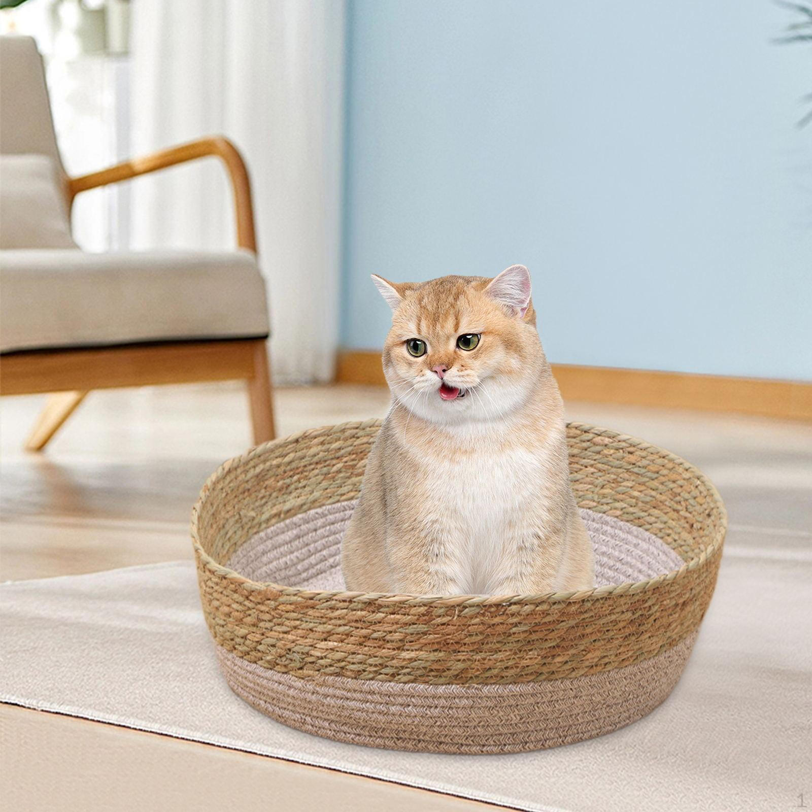 Bed for Small Pets - Handcrafted Pet Furniture M
Bed for Small Pets - Handcrafted Pet Furniture M