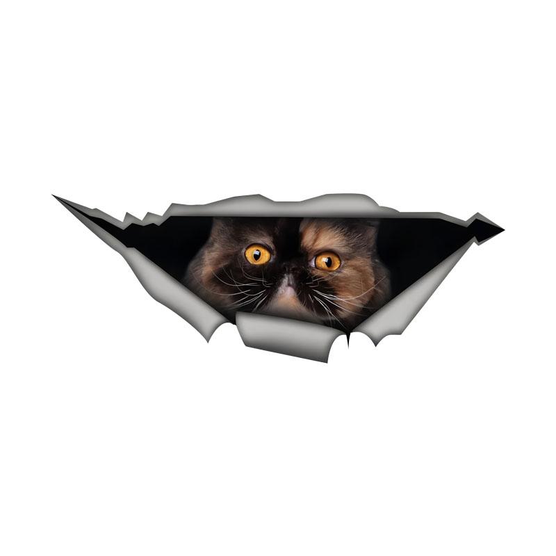 Tri Color Persian Cat Car Stickers Funny Waterproof Vinyl Decal Motorcycle Decorative Accessories, Used for Car, Motorcycle, Laptop, Van 15cm-Longest Side
Tri Color Persian Cat Car Stickers Funny Waterproof Vinyl Decal Motorcycle Decorative Accessories, Used for Car, Motorcycle, Laptop, Van 15cm-Longest Side