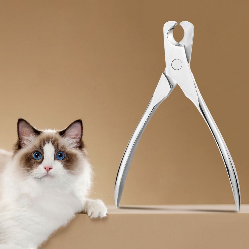 Professional Dog Nail Trimmers Wear Resistant Pet Toe Trimmer Cat Nail Cutters for Cleaning серебряный
Professional Dog Nail Trimmers Wear Resistant Pet Toe Trimmer Cat Nail Cutters for Cleaning серебряный