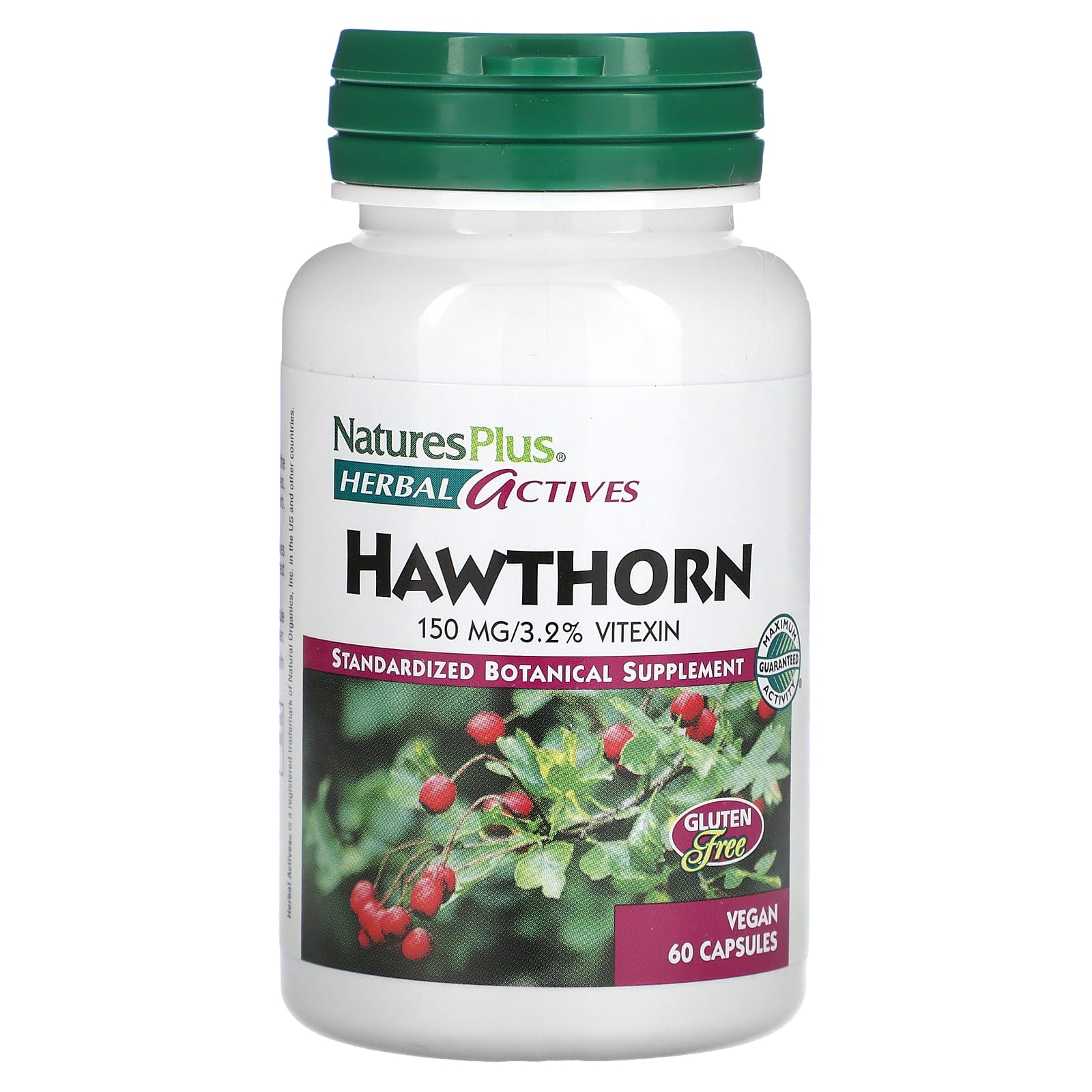 Herbal Actives, Hawthorn, 150 Mg, 60 Veggie Caps
Herbal Actives, Hawthorn, 150 Mg, 60 Veggie Caps
