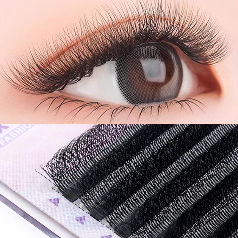 Six-Leaf Clover 6D Lashes: Denser and softer than five- or three-leaf styles, with no root scatter, perfect for a bold European bloom effect. D Curl
Six-Leaf Clover 6D Lashes: Denser and softer than five- or three-leaf styles, with no root scatter, perfect for a bold European bloom effect. D Curl