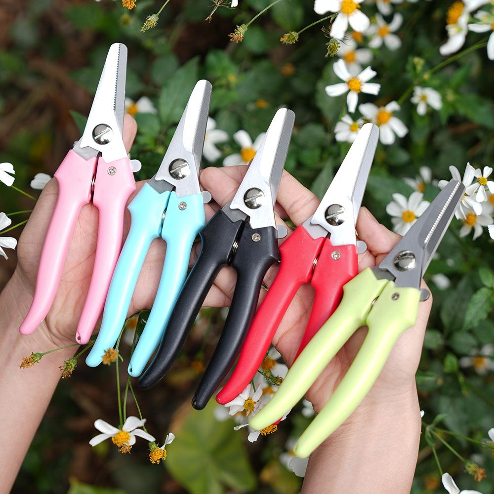 Flower Branch Garden Pruning Shears Heavy-Duty Gardening Scissors for Home Use Tree Branch & Fruit Tree Trimmers
Flower Branch Garden Pruning Shears Heavy-Duty Gardening Scissors for Home Use Tree Branch & Fruit Tree Trimmers