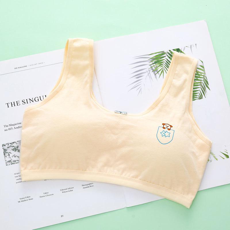 Student Girls Training Bra, Ages 10-18, with Sponge Padding M (60-80 jin)
Student Girls Training Bra, Ages 10-18, with Sponge Padding M (60-80 jin)