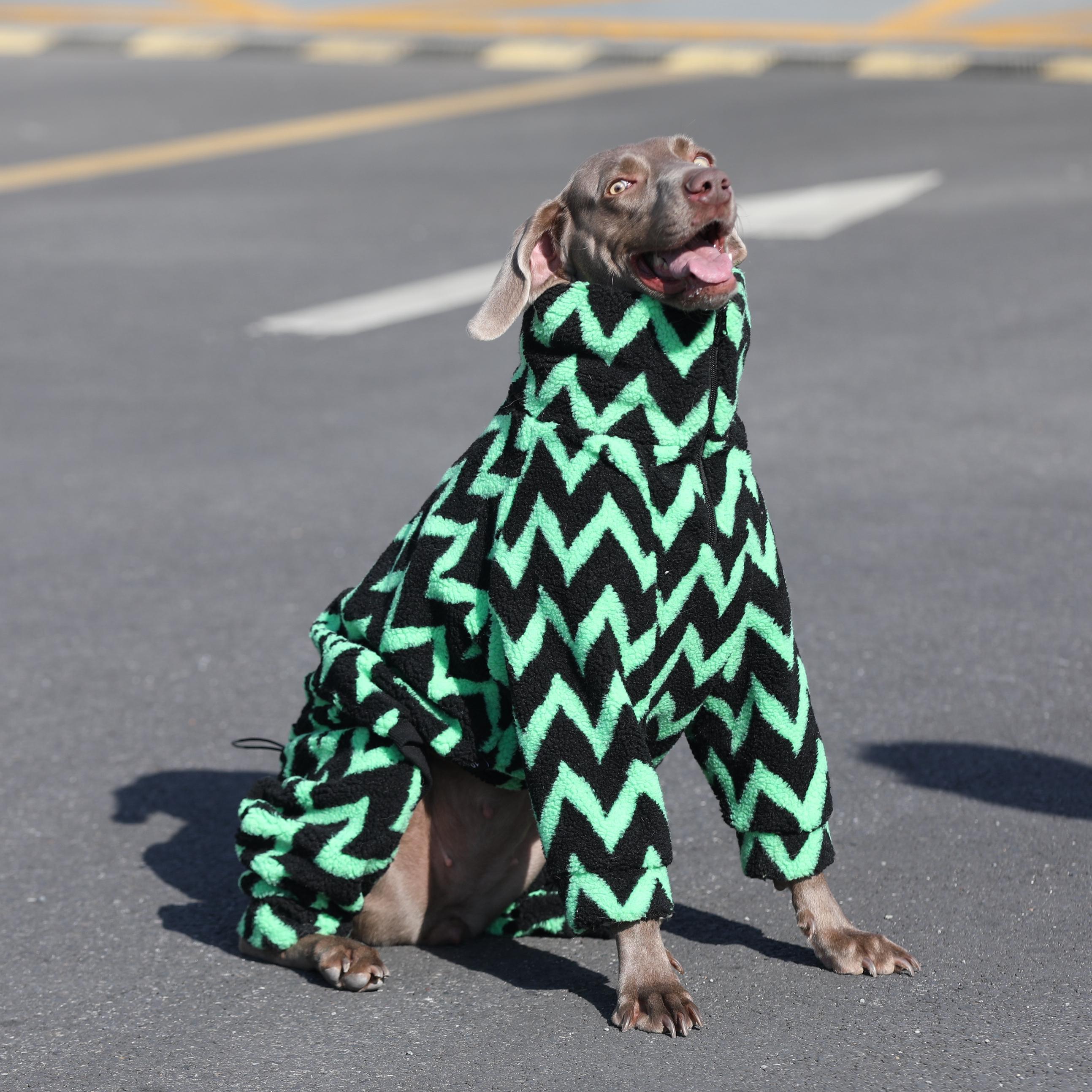 Warm Sherpa Fleece Dog Coat,Thicken Pet Dog Romper Pajamas,For Big Breed Labrador Husky - Four Legs Puppy Outfits Zip Up Design L зелений
Warm Sherpa Fleece Dog Coat,Thicken Pet Dog Romper Pajamas,For Big Breed Labrador Husky - Four Legs Puppy Outfits Zip Up Design L зелений