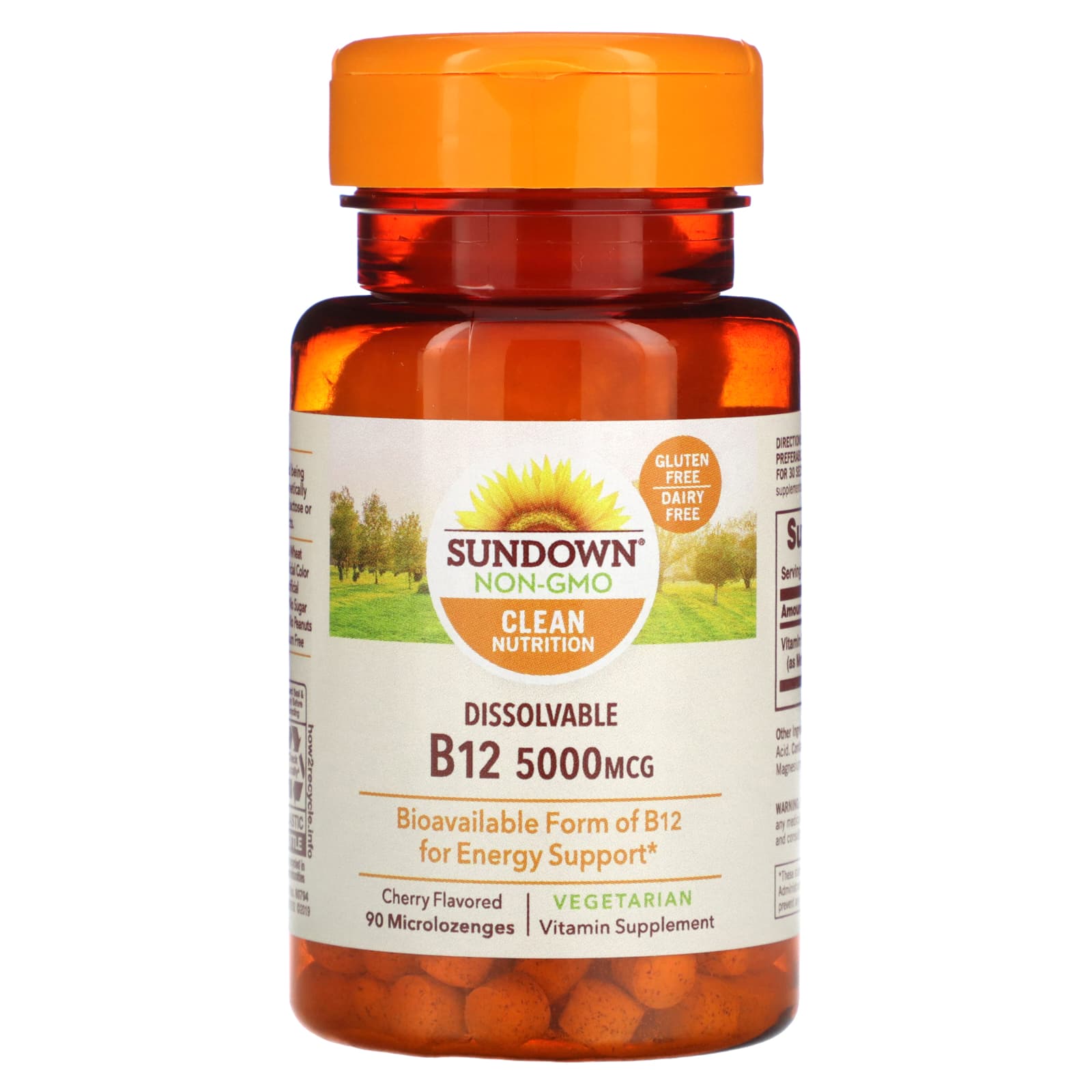 Sundown Naturals, B-12 Methylcobalamin, Cherry Flavor, 5000 micrograms, 90 microlozenges
Sundown Naturals, B-12 Methylcobalamin, Cherry Flavor, 5000 micrograms, 90 microlozenges