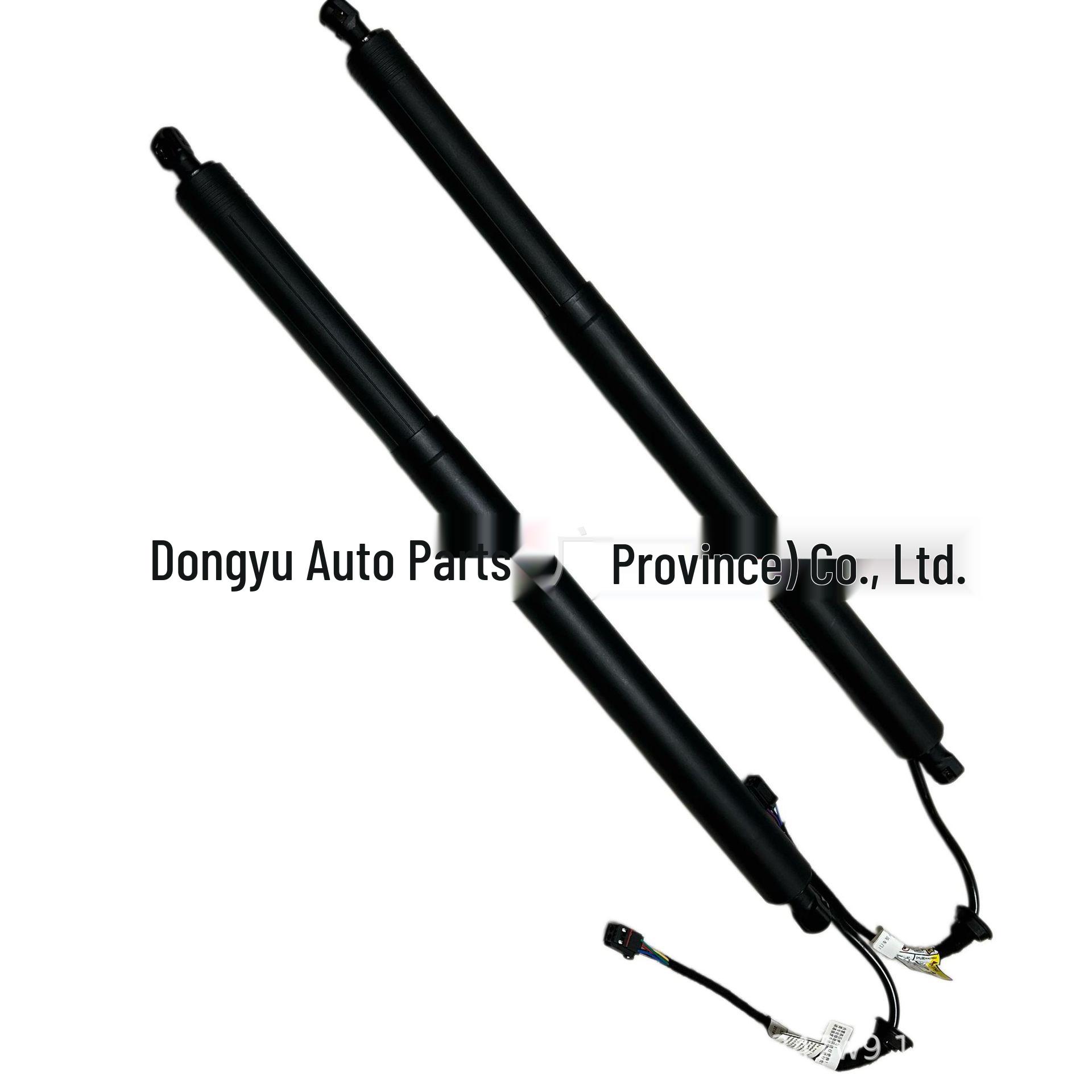 Hyundai Santa Fe Gen 4 Electric Tailgate Hydraulic Support Rod 81830S3100/81840S3100 Left 81830S3100
Hyundai Santa Fe Gen 4 Electric Tailgate Hydraulic Support Rod 81830S3100/81840S3100 Left 81830S3100