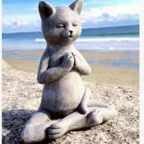 Статуя для медитации «Собака дзен» в виде Будды — собака для йоги в позе молитвы для декора сада дзен
Статуя для медитации «Собака дзен» в виде Будды — собака для йоги в позе молитвы для декора сада дзен